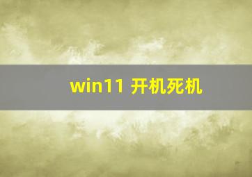 win11 开机死机